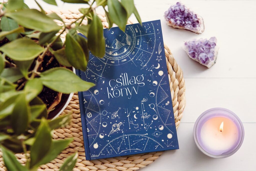 Go-to-market strategy and execution across 4 countries