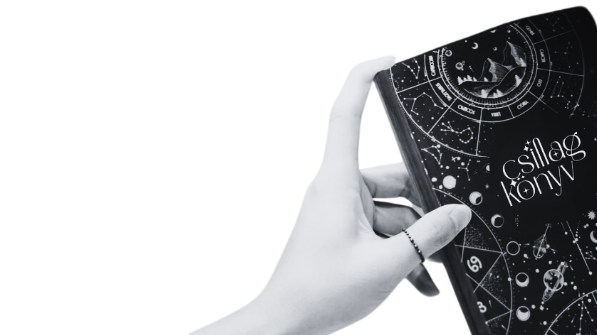 Go-to-market strategy and execution across 4 countries